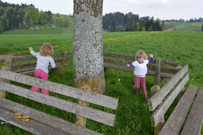 Pflegekinder-Aktion Graubünden